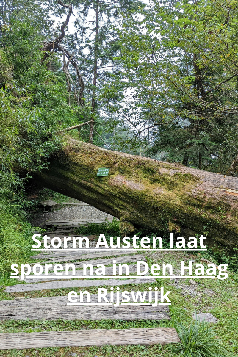 Storm Austen laat sporen na in Den Haag en Rijswijk